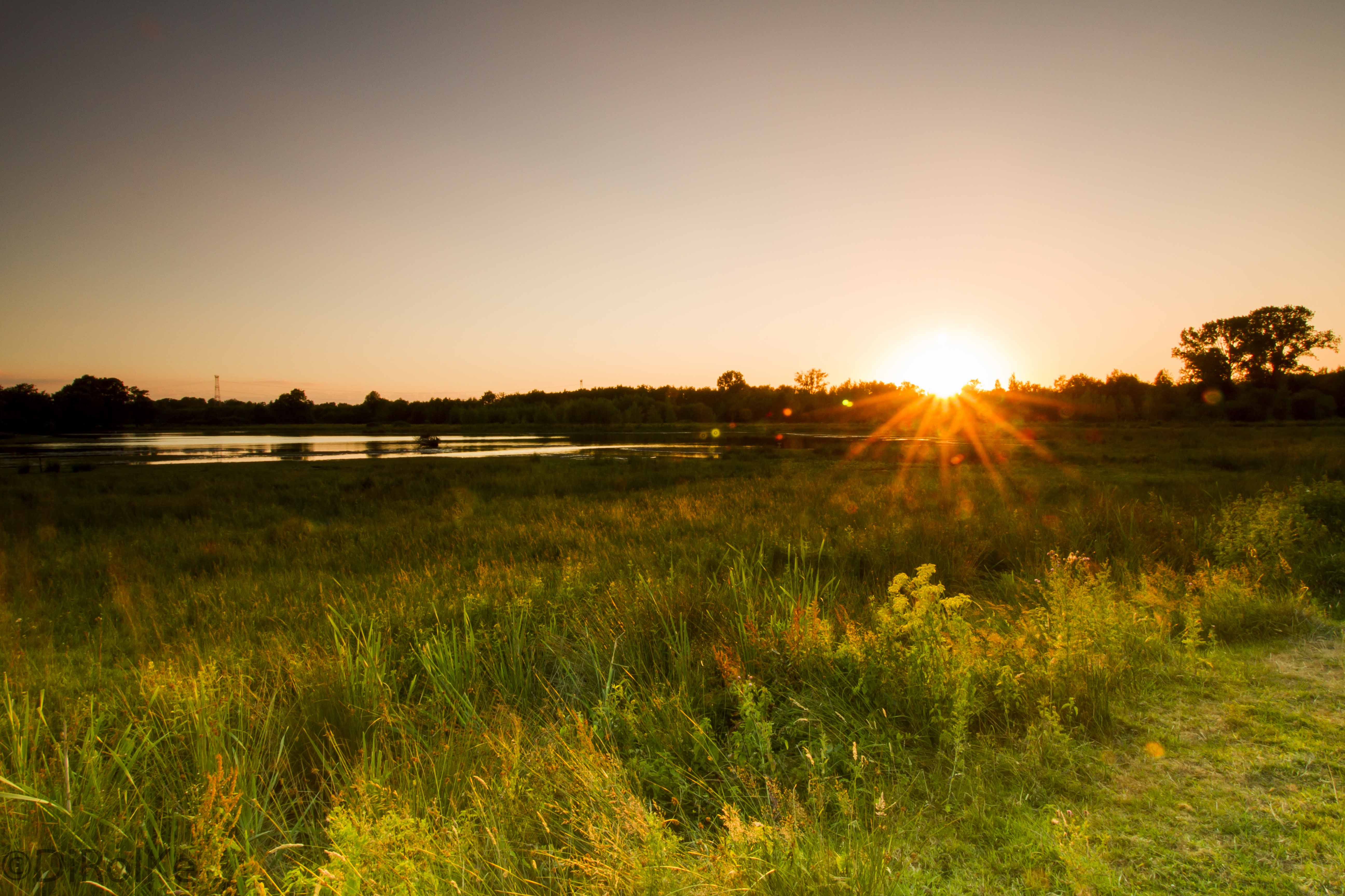 Ondergaande zon Mosbulten