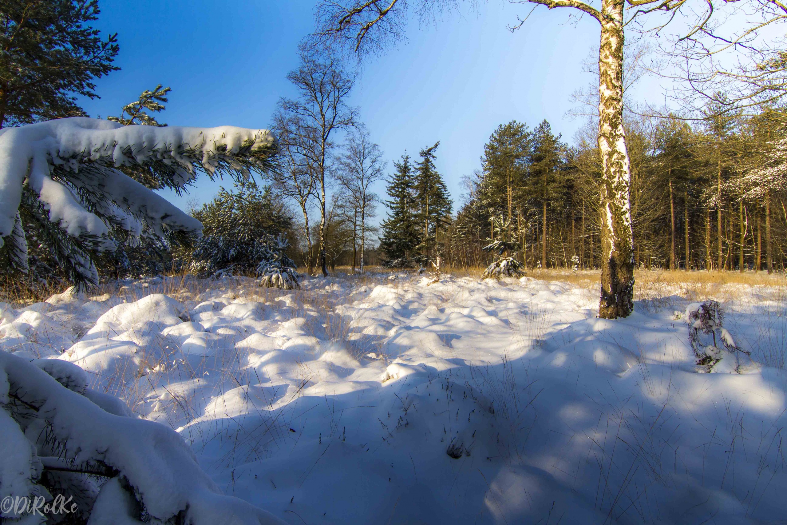 Oudmeer in de winter