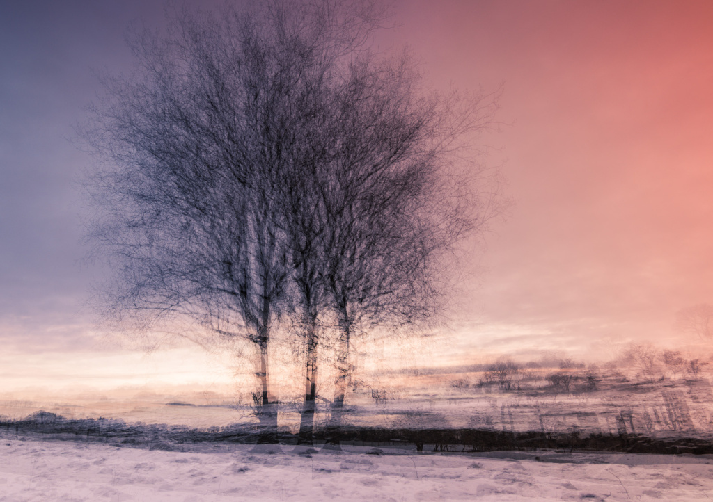 Winters dromen