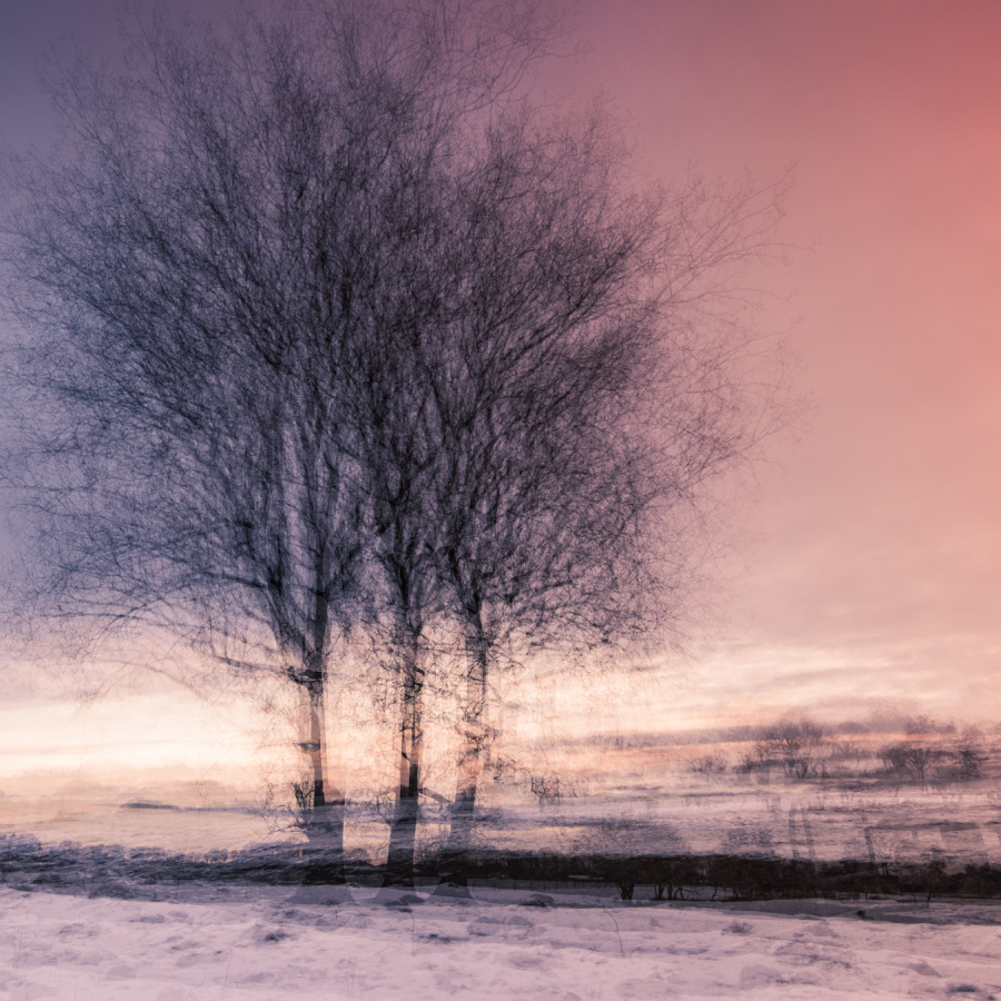 Winters dromen